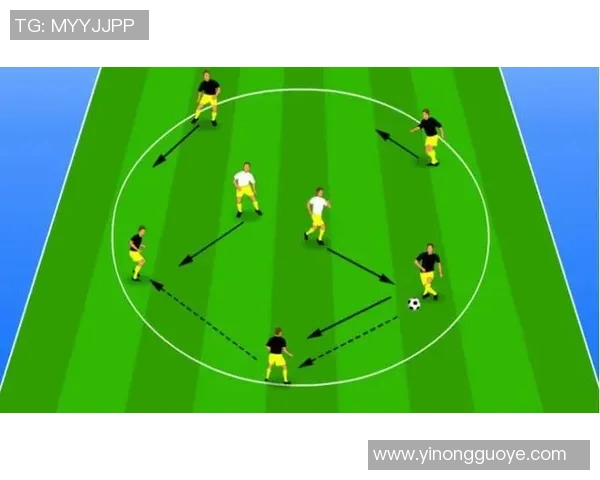 以射门技巧为核心解析提升足球进攻效率的关键因素及训练方法