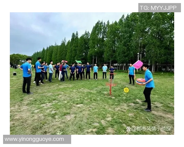 成都飞盘队比赛经验分享：从战术到团队协作的全面解析