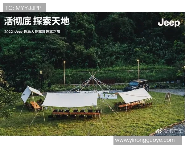 杭州飞盘队灵活性分析与表现评估探索之旅