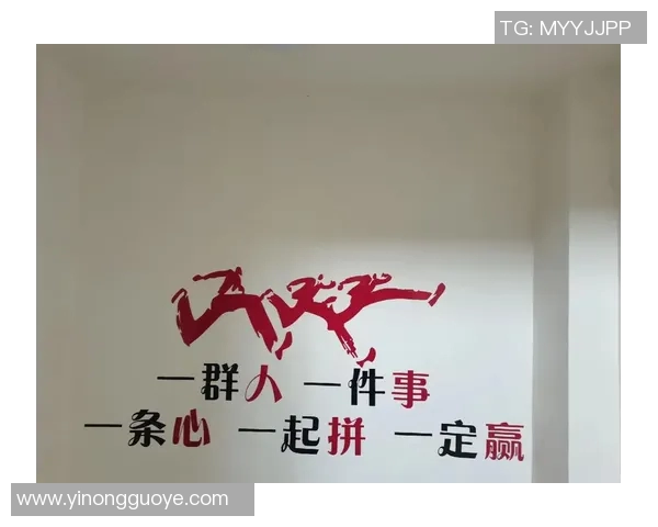 深圳排球队的团队协作精神与战术配合探讨