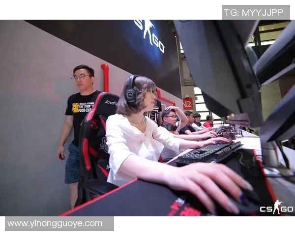 深度探讨杨静在CSGO世界中的成长与挑战之路