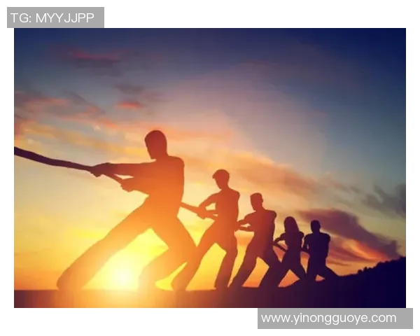 独行侠精神与现代社会孤独主义的深度剖析与反思