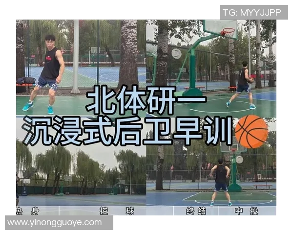 篮球战术与技术的完美结合探索：从基础训练到高阶打法的全面解析