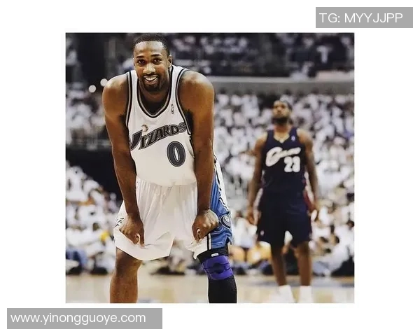 阿里纳斯条款在NBA薪资管理中的作用与影响分析