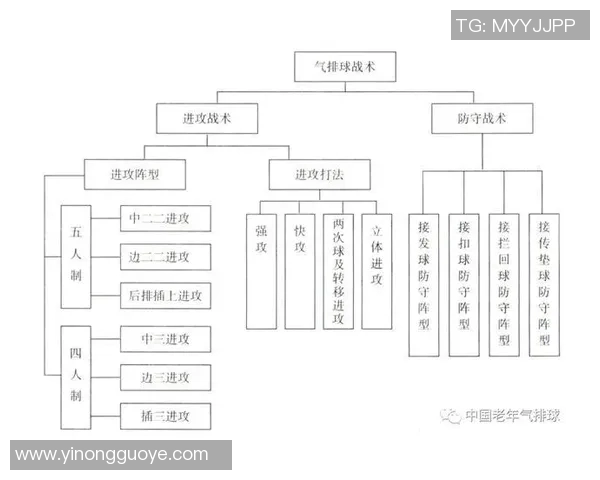 广州排球队节奏对比深度解析与战术探讨 广州排球队节奏对比深度解析与战术探讨
